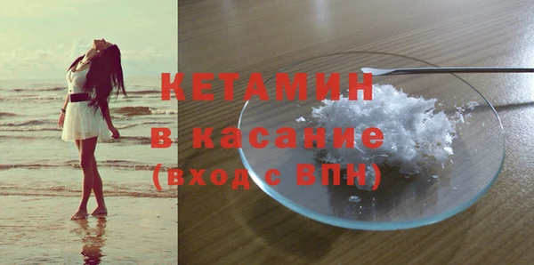ГАЛЛЮЦИНОГЕННЫЕ ГРИБЫ Заволжье
