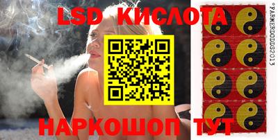 ECSTASY Берёзовский