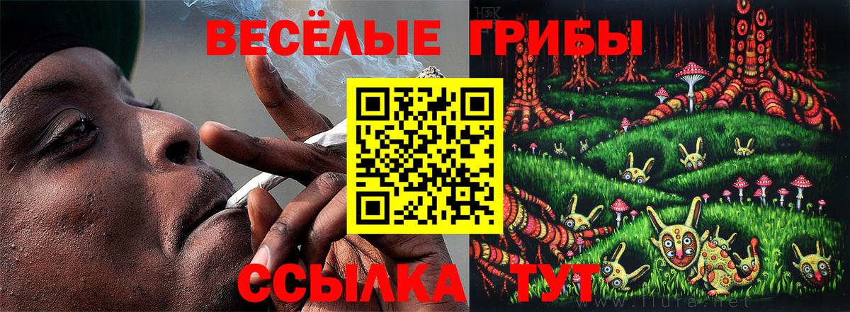 Галлюциногенные грибы мухоморы  Вход с VPN  наркотики  Корсаков 