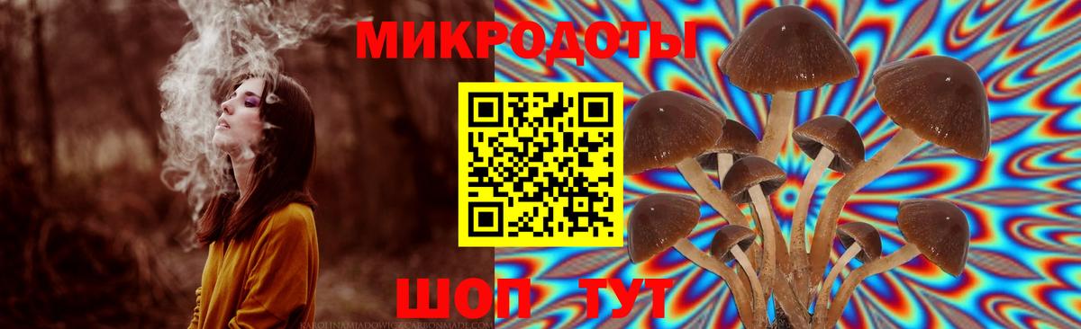 Галлюциногенные грибы Cubensis Корсаков