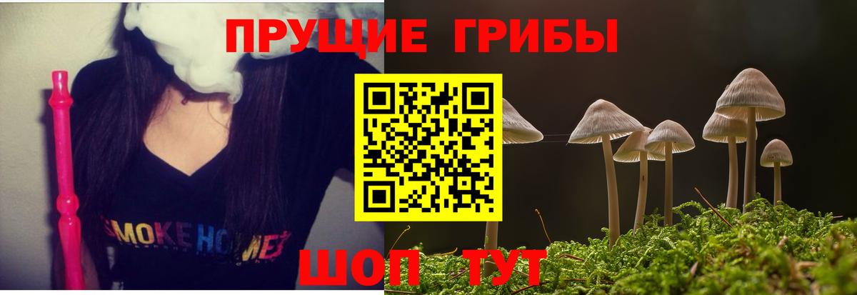 Галлюциногенные грибы Cubensis  цены   Корсаков 